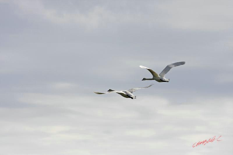 Cjp_2008_07_17_104320 (1).jpg